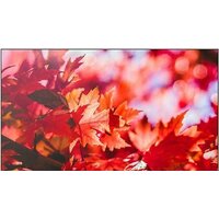 Blackton Bt 50FSU42B