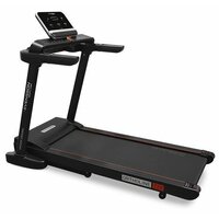 SVENSSON BODY LABS OrthoLine TZX